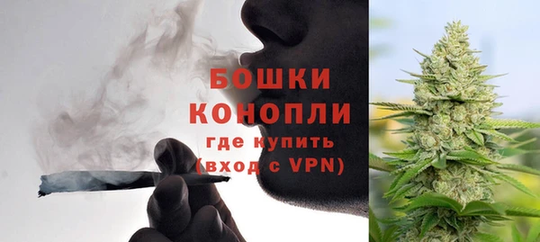 индика Белоозёрский